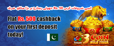 وی آئی پی ہفتہ وار کیش بیک promotional offer